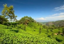 Eid Al Fitr Short Holiday in Sri Lanka