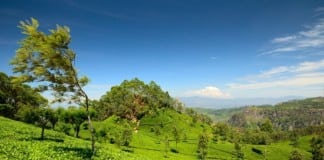 Eid Al Fitr Short Holiday in Sri Lanka