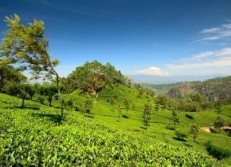 Eid Al Fitr Short Holiday in Sri Lanka
