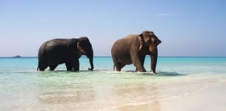 Book Holiday Package and Win a Trip to Goa