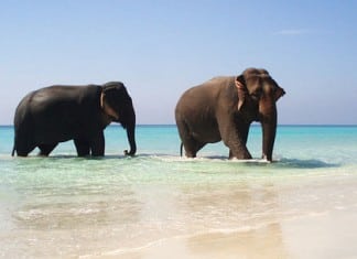 Book Holiday Package and Win a Trip to Goa
