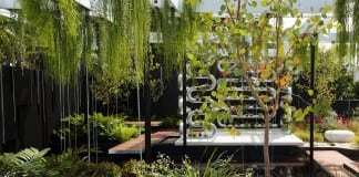 ‘Green is the New Black’ as Pandemic Sharpens Focus on Sustainability for Middle East Home Buyers