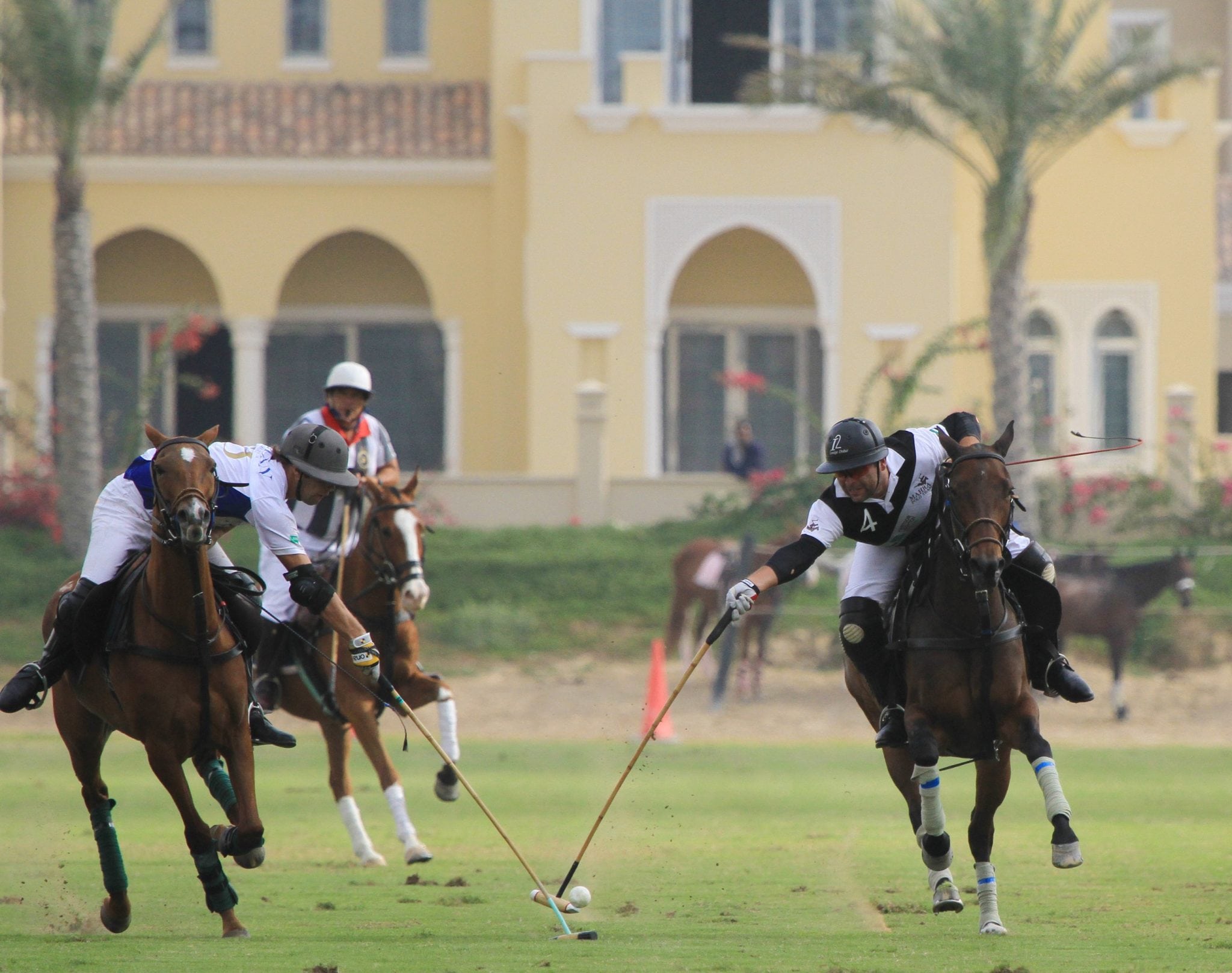 Zedan vs Mahra Polo