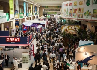 Unlocking Iran’s mining potential