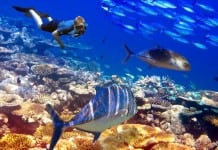 Enjoy the Happiest Summer of Your Life – Here’s How
