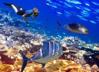 Enjoy the Happiest Summer of Your Life – Here’s How