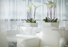 Spring Interior Decoration: Freshen Up Your Home