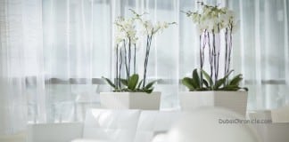 Spring Interior Decoration: Freshen Up Your Home