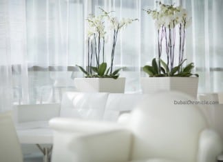 Spring Interior Decoration: Freshen Up Your Home
