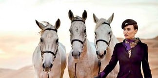 Explore Abu Dhabi Statistics 2015