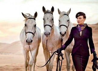 Explore Abu Dhabi Statistics 2015