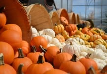 Reinvent the Halloween Pumpkins
