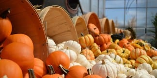 Reinvent the Halloween Pumpkins