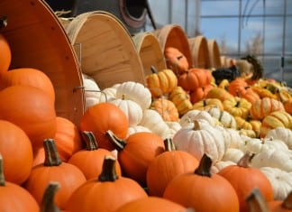 Reinvent the Halloween Pumpkins