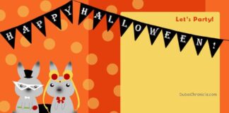 Are you on the search for pets Halloween costumes?