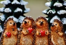 Christmas Gifts Guide: Best Presents for Colleagues