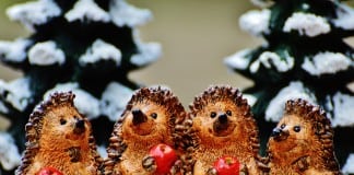 Christmas Gifts Guide: Best Presents for Colleagues