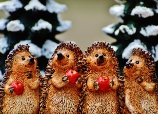 Christmas Gifts Guide: Best Presents for Colleagues