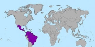 Zika virus spreads ‘explosively’, WHO