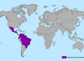 Zika virus spreads ‘explosively’, WHO