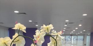 Weight Management Reinvented – Curves Middle East Offers The Solution