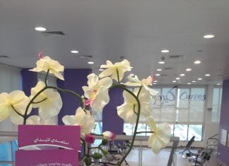 Weight Management Reinvented – Curves Middle East Offers The Solution
