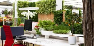 How to Create a Stress-Free Work Place