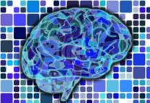 What Training Exercise Boosts Brain Power Best?