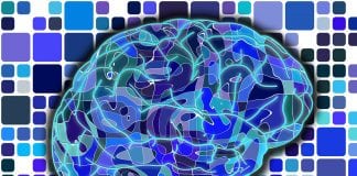 What Training Exercise Boosts Brain Power Best?