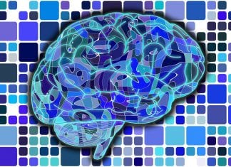 What Training Exercise Boosts Brain Power Best?