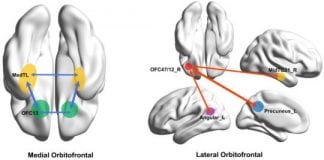 The root of depression linked to not receiving rewards