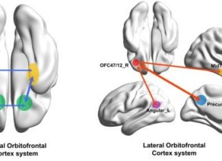 The root of depression linked to not receiving rewards