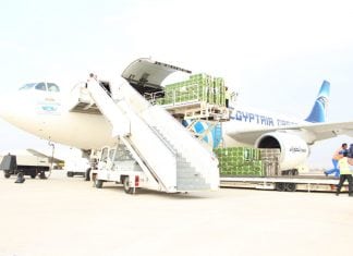 A workforce of 60 million arrives at RAK International Airport