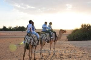 camel-trek