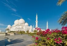 Receding Demand Continues to Soften Abu Dhabi Real Estate Market