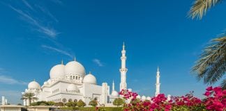 Receding Demand Continues to Soften Abu Dhabi Real Estate Market