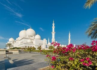 Receding Demand Continues to Soften Abu Dhabi Real Estate Market