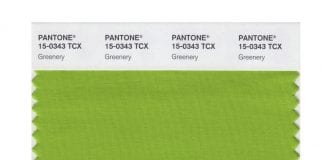 2017 Color of the Year Revealed