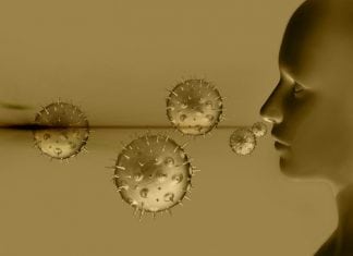 The Ugly Truth about Summer Allergies
