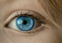 People with Blue Eyes Have a Single Common Ancestor