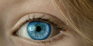 People with Blue Eyes Have a Single Common Ancestor
