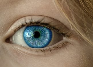 People with Blue Eyes Have a Single Common Ancestor
