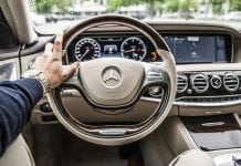 Too Much Driving or Watching TV Bad for Your Brain