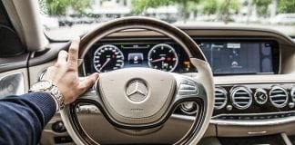 Too Much Driving or Watching TV Bad for Your Brain