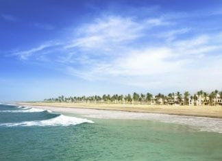 Top 10 Must-do Excursions in Salalah