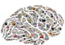 Brain Activity Is Inherited