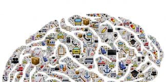 Brain Activity Is Inherited