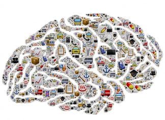 Brain Activity Is Inherited