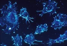 Cancer Therapy Is Double-edged Sword; How to Blunt It