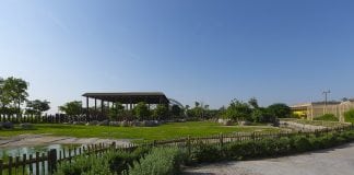 Dubai Safari Park to Welcome Visitors from 5th October